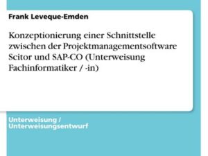 Konzeptionierung einer Schnittstelle zwischen der Projektmanagementsoftware Scitor und SAP-CO (Unterweisung Fachinformatiker / -in)