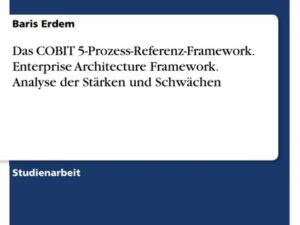 Das COBIT 5-Prozess-Referenz-Framework. Enterprise Architecture Framework. Analyse der Stärken und Schwächen