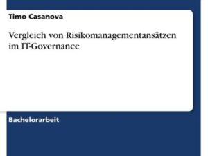 Vergleich von Risikomanagementansätzen im IT-Governance