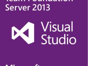 Microsoft OPEN Value Subscription Government VisualStudio Found CAL AL OPEN Value Subscription Subscription Government, Staffel D, Zusatzprodukt, License/Software Assurance, / (126-01024)